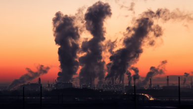 Photo of Air Pollution – Causes, Effects and Steps to reduce it.