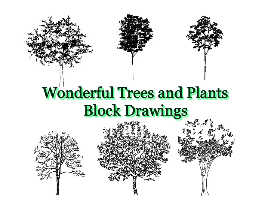 Wonderful Trees and Plants Block Drawings